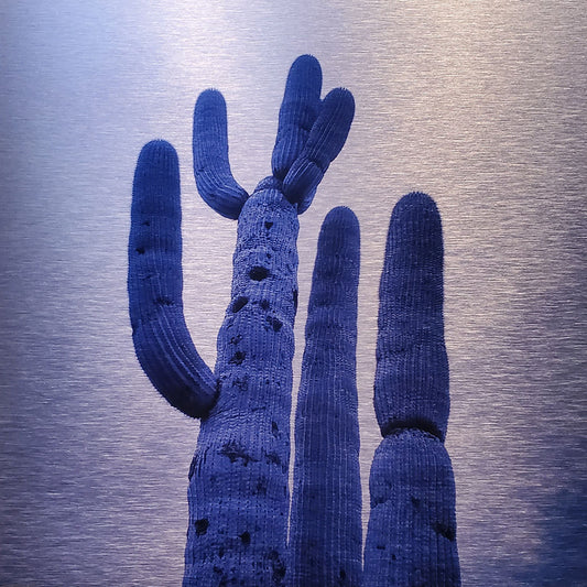 Cloudy Day Cacti From Below - Brushed Aluminum Print - Blue